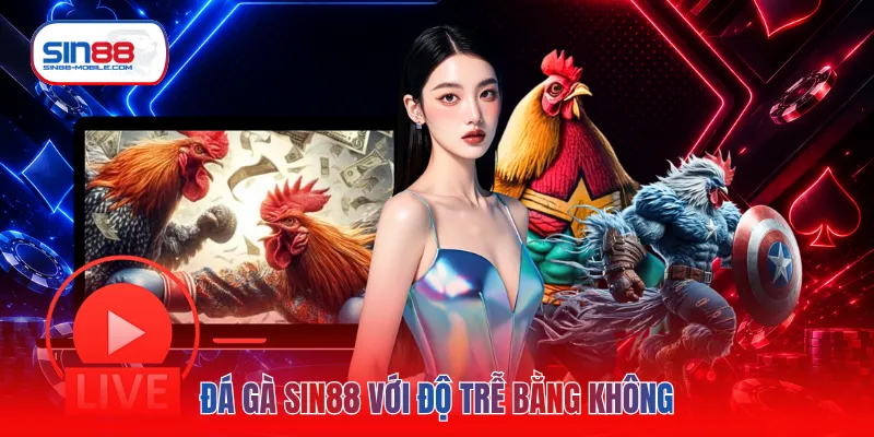 Đá gà SIN88 với độ trễ bằng không