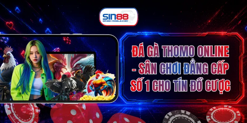 Đá Gà Thomo Online - Sân Chơi Đẳng Cấp Số 1 Cho Tín Đồ Cược