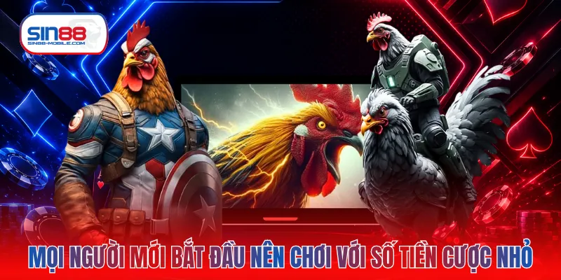 Mọi người mới bắt đầu nên chơi với số tiền cược nhỏ