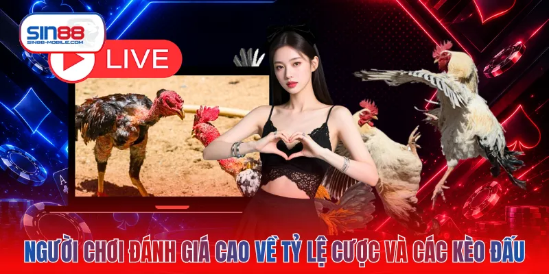 Người chơi đánh giá cao về tỷ lệ cược và các kèo đấu